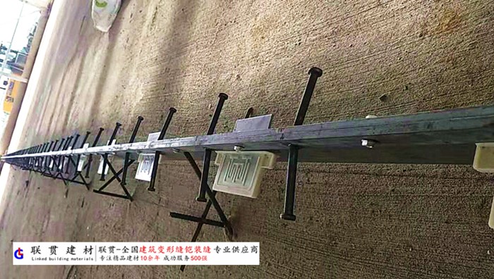 玉树铠甲缝施工案例